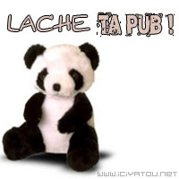 ici lachez vos pub dans les com's
